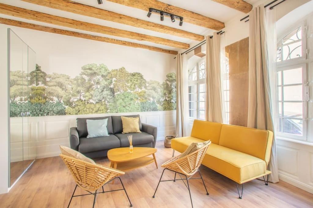 La Halte Strasbourgeoise - Superbe Appt Pres De La Petite France Apartment Екстериор снимка